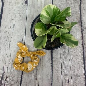 yellow and white floral Scrunchie
